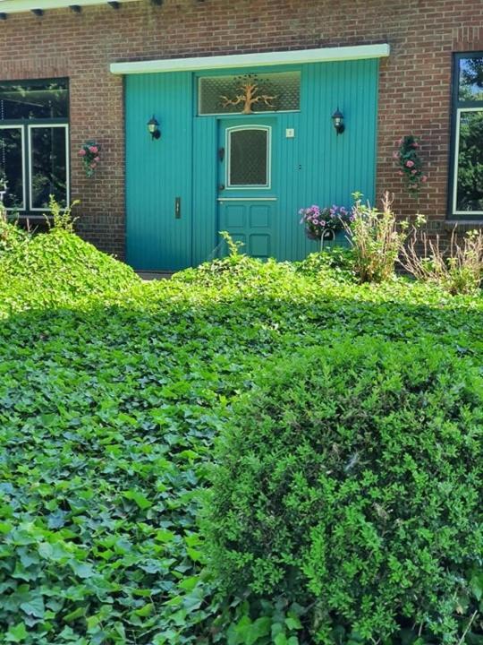 De Vliegende Vlinder Acomodação com café da manhã Nederweert Exterior foto